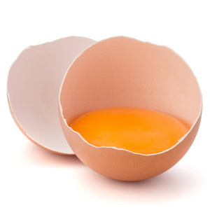 在蛋壳破的蛋
