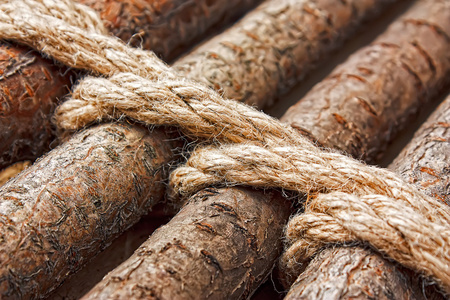 绳子捆绑用绳子捆绑的木条照片