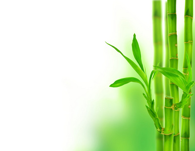 竹家具竹子 竹竿 竹木家具照片