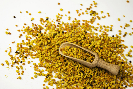 松,黄花粉粒的雄性花粉锥结构与标题不同植物的花粉