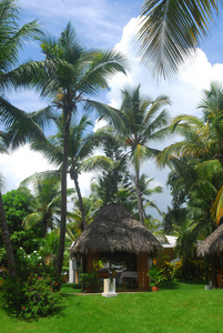 热带多米尼加共和国的宁静按摩小屋
