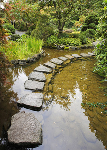 传统的日本花园。 一条小溪