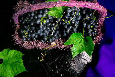红酒的葡萄在 voiolet bllack 背景上的篮子里。顶视图。复制空间