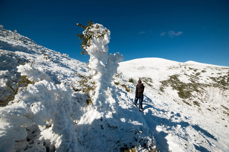 美丽的冬山。雪 natiaonal 自然公园