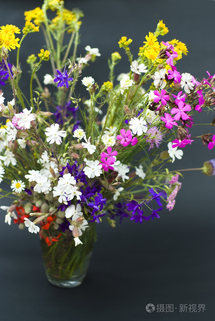 夏日清新的野花的花束被隔离在黑色的背上