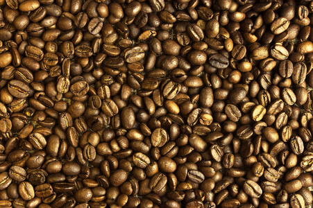 咖啡豆, 咖啡豆的组成, 咖啡豆 backgrou