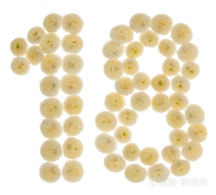 阿拉伯数字18十八从菊花奶油花