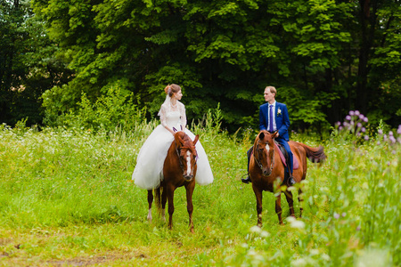 美丽的新婚夫妇骑两匹马