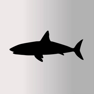 鲨鱼图标说明