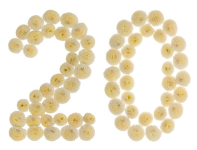 阿拉伯数字 20, 二十, 从菊花奶油花照片