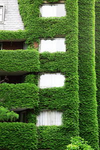 绿色环保自然生态建筑图片