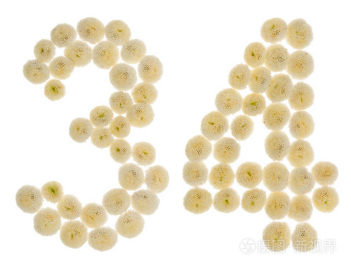 阿拉伯数字34三十四从奶油花的chrysanthe