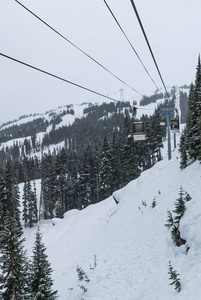 滑雪缆车去雪覆盖的山之间的树木