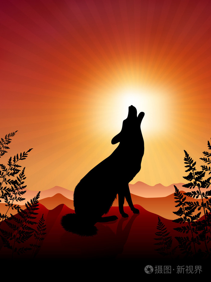 狼嚎日落背景上