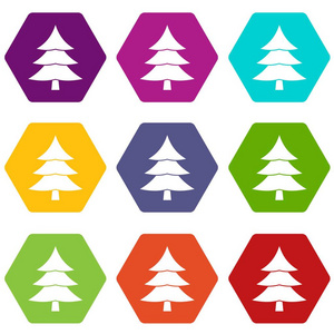 冷杉树图标集颜色六面体图片