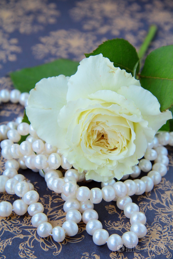白玫瑰和白色珍珠复古背景上的字符串