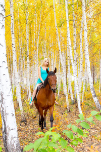 金发美女骑一匹马走在秋天的森林