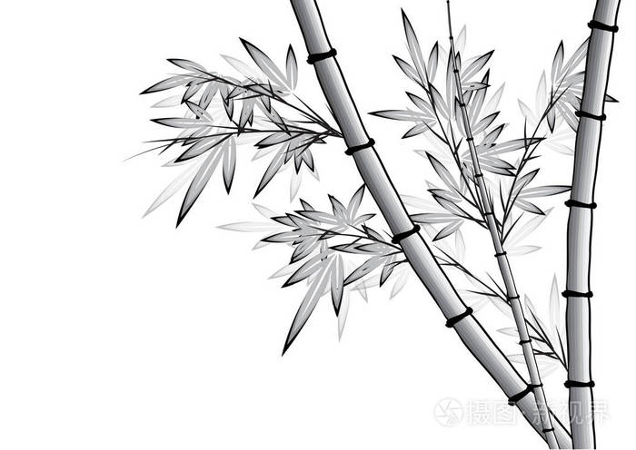 竹树矢量画