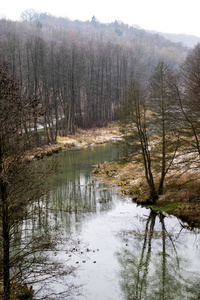河流在森林中流动。冬天的河流树木和森林