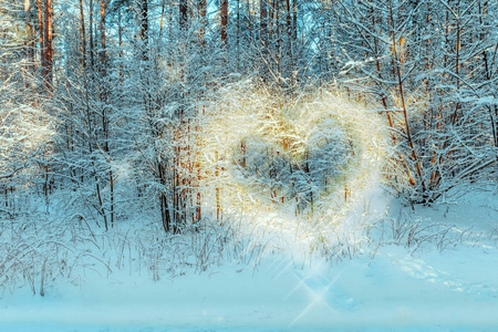 冬日的风景, 太阳的光芒在树枝上形成一个心形照片