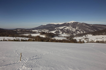 Bieszczady 山脉波兰喀尔巴阡山