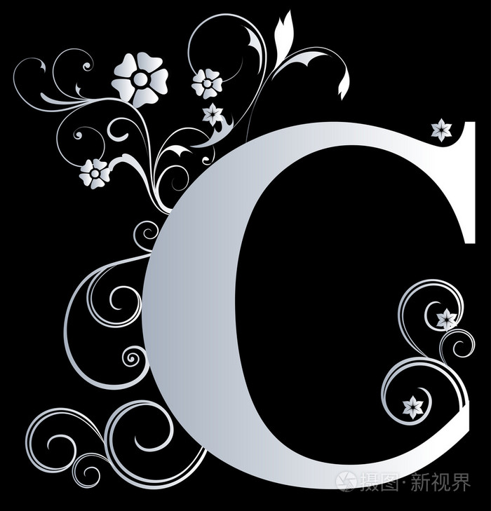 大写字母c