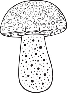 棕色盖牛肝菌可食用的蘑菇。涂鸦卡通着色 pag