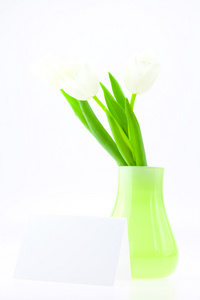 花瓶和卡片上的白色郁金香