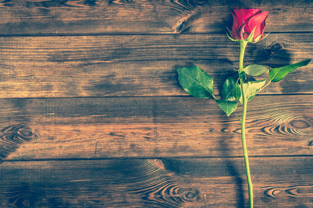 红玫瑰在木桌上, 卡片为情人节背景