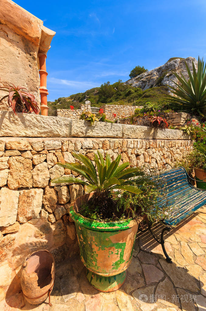 西班牙马略卡岛小村庄的热带植物