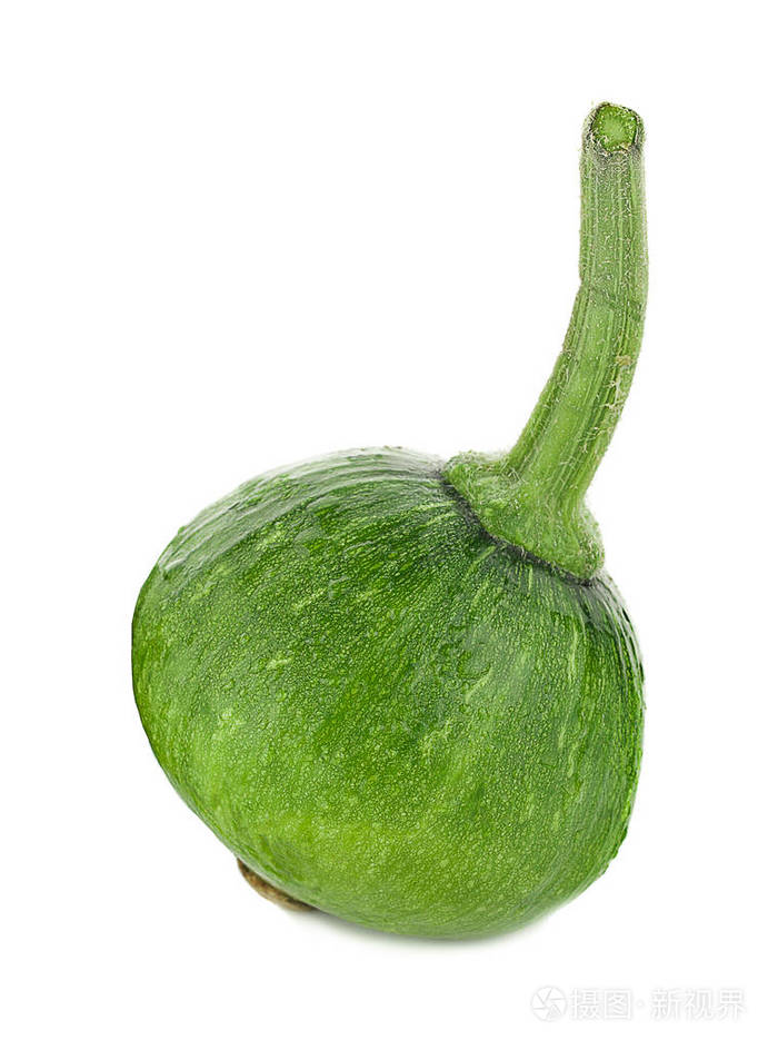 孤立在白色背景上的绿色南瓜