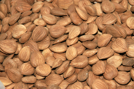 杏仁中药杏树 杏仁色 杏仁状的东西 扁桃仁照片