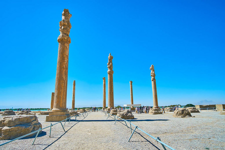Apadana, 波斯波利斯, 伊朗的高大柱子