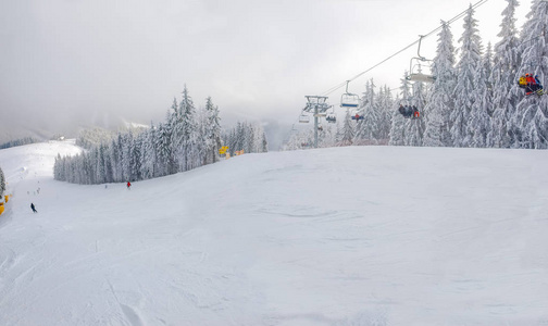 滑雪胜地云杉林中的滑雪坡与椅