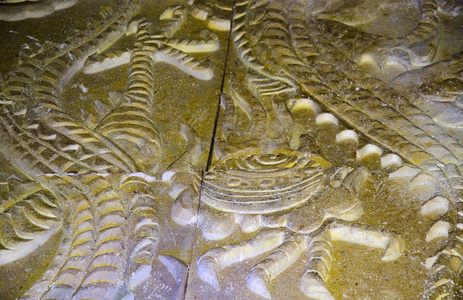 古老的石雕龙, 龙爪在中国的全球地质公园.