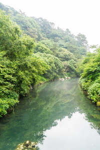 在济州岛天地渊瀑布公园花园