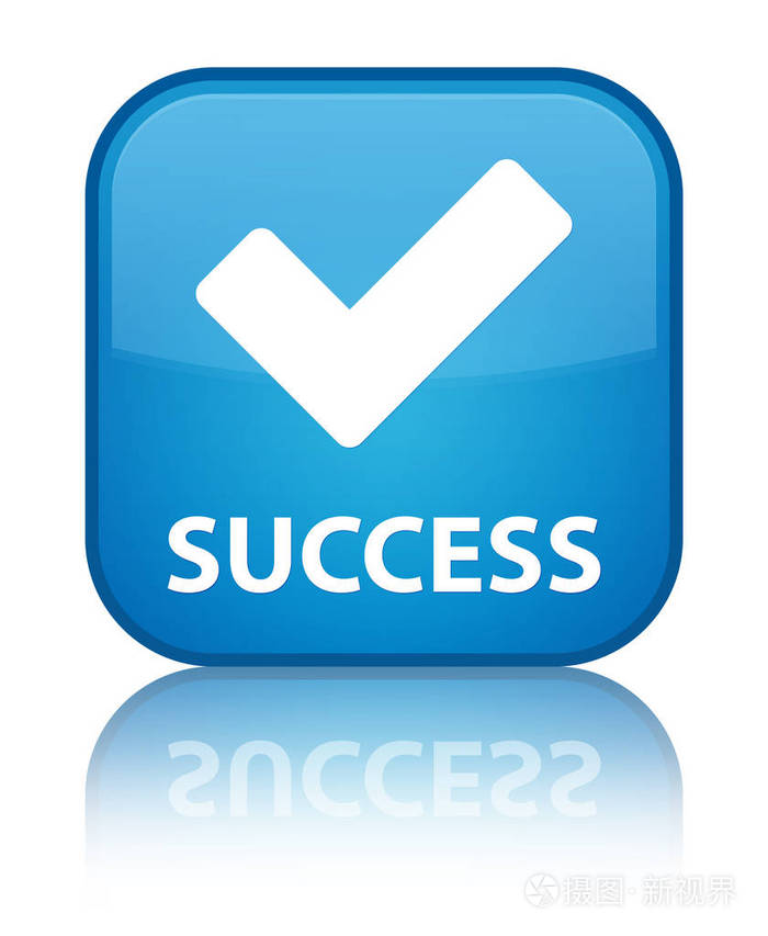成功验证图标特殊青色蓝色方形按钮