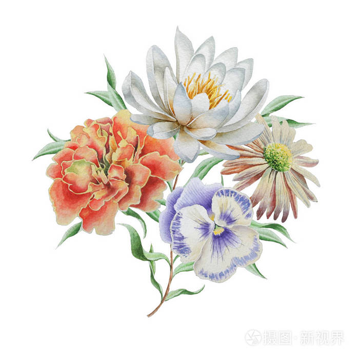 带花的水彩花束 莉莉 万寿菊 紫罗兰照片 正版商用图片02vhm5 摄图新视界