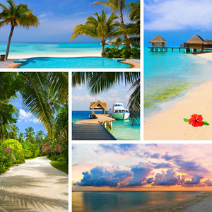 夏季海滩马尔代夫图片拼贴图片