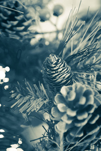 美丽的圣诞节背景与松针和松果关闭