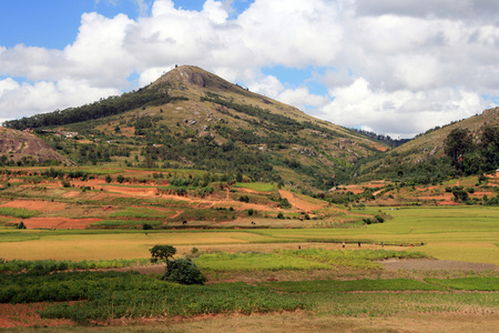 马达加斯加农村