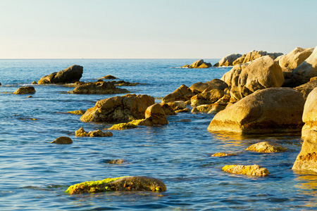 临海的，沿海的 海岸的 沿岸