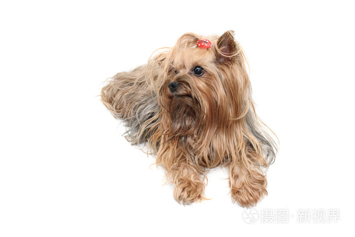 约克郡约克夏英国英格兰原郡名