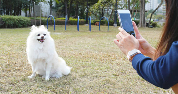 公园里的狗用手机拍照的女人