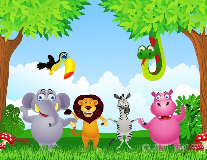 野生动物手牵手