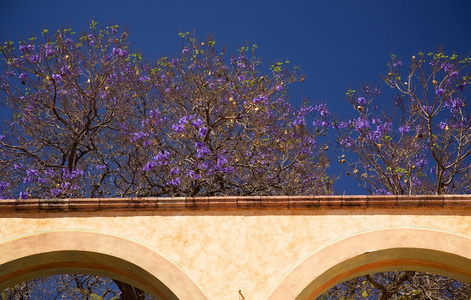 紫花白土坯墙墨西哥