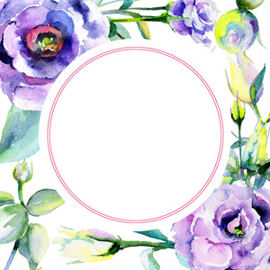 桔梗菜以水彩风格野花桔梗花相框照片