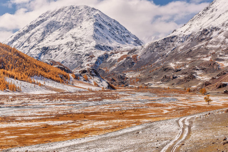 山区道路雪秋天的树木