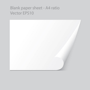 单侧卷曲矢量图形设计的现实 A4 空白纸片