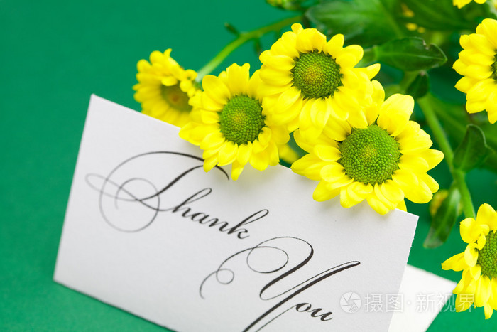 黄色雏菊和卡片在绿色背景上签名谢谢